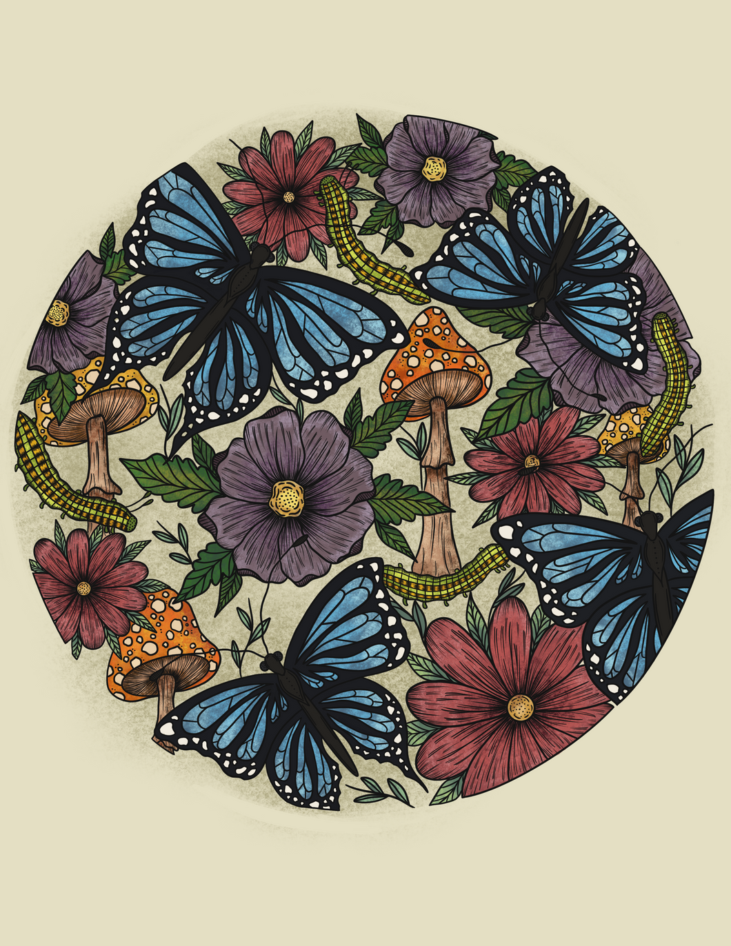 Caterpillars To Butterflies