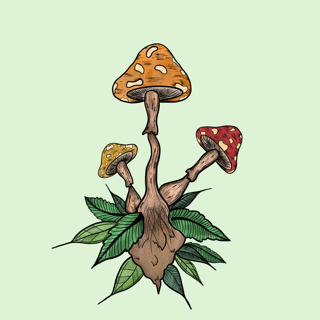 Shroomies